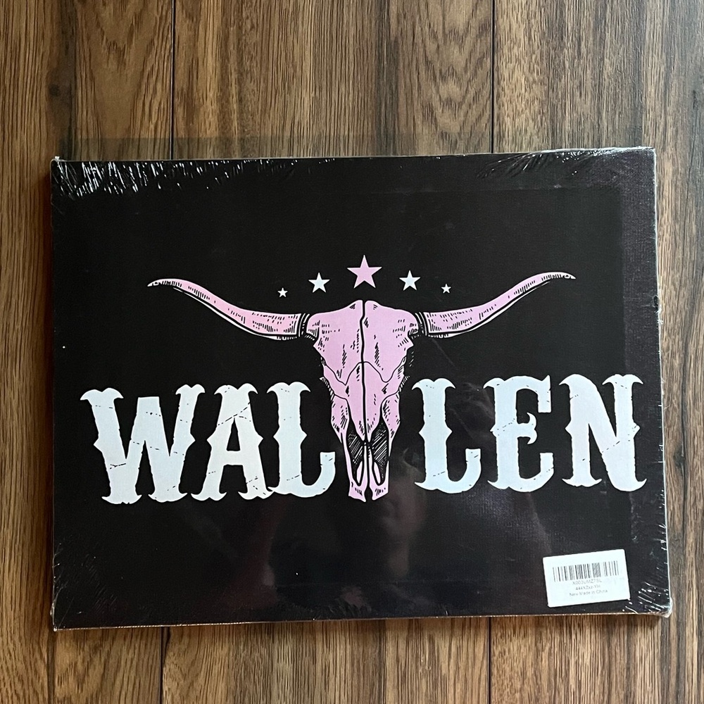 New Morgan Wallen Country Pink Cow Skull Canvas Poster Print